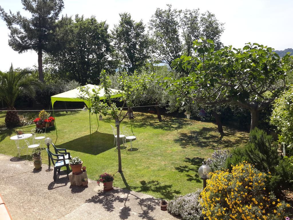 B&B L'Albero Di Antonia Atri Buitenkant foto