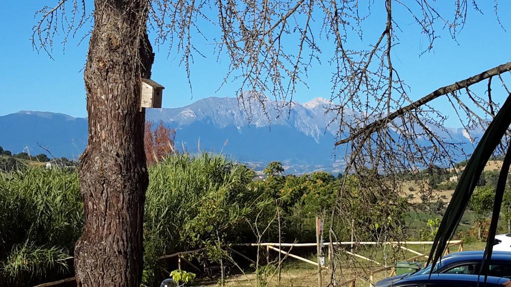 B&B L'Albero Di Antonia Atri Buitenkant foto