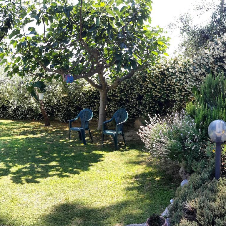 B&B L'Albero Di Antonia Atri Buitenkant foto